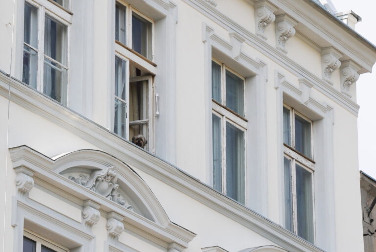 KAMIENICA DOLNE MIASTO GDAŃSK