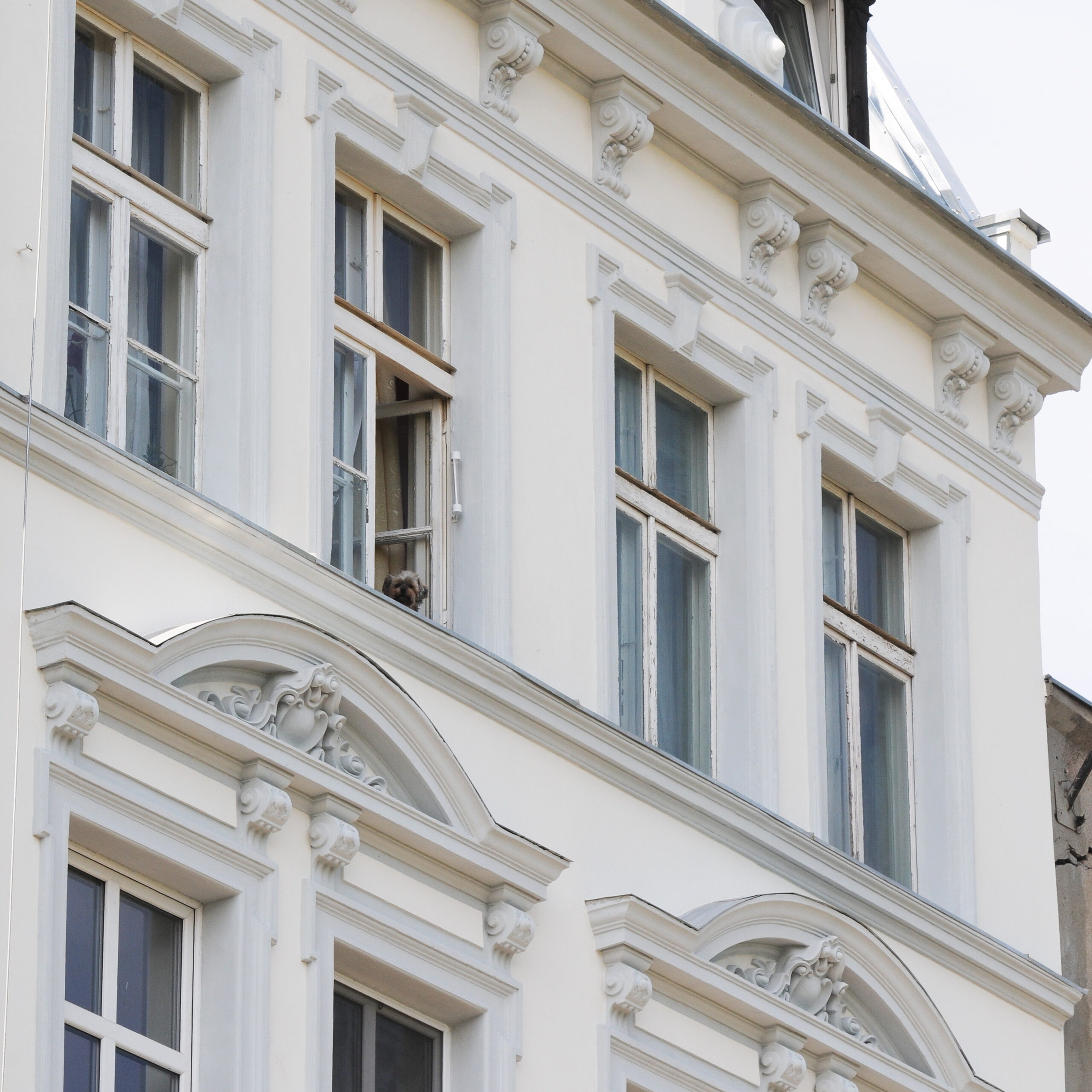 KAMIENICA DOLNE MIASTO GDAŃSK